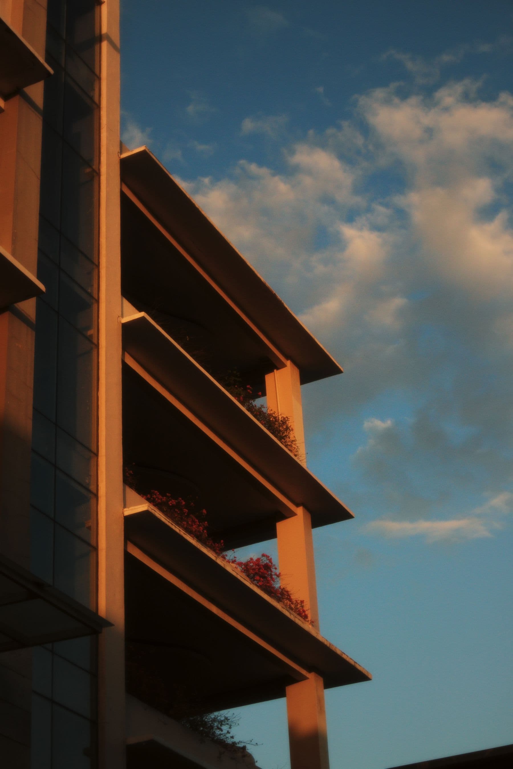 A modern firm building at sunset.